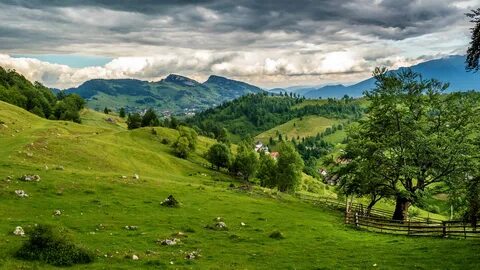 Călărași İlçesi