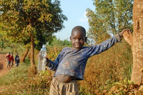 Masindi Bölgesi
