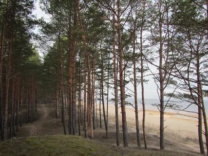 Saulkrasti Belediyesi