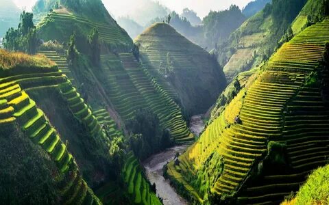 Bà Rịa-Vũng Tàu