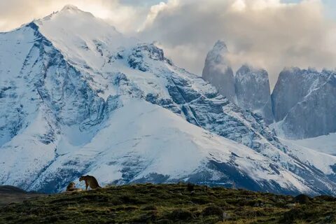 Magallanes ve Antártica Chilena