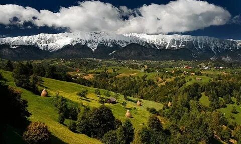 Timiș İlçesi