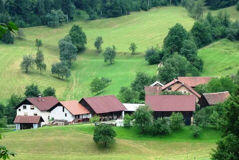 Vrhnika Belediyesi