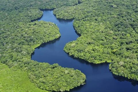 Amazonlar