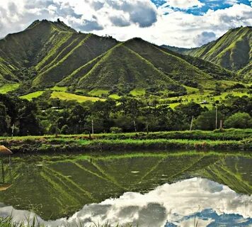 Huila