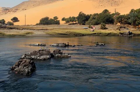 Nil Nehri