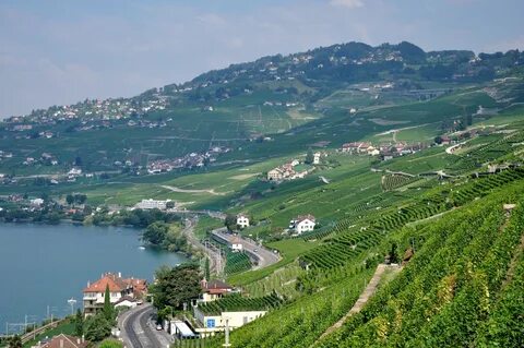 Vaud
