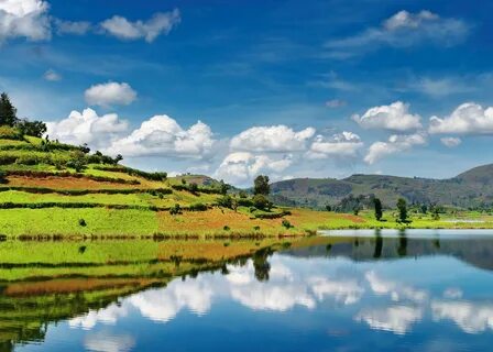 Rukungiri Bölgesi