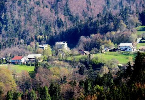 Lukovica Belediyesi