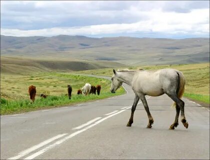Tuva Cumhuriyeti