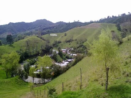 Tolima