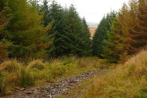 Rhondda Cynon Taf