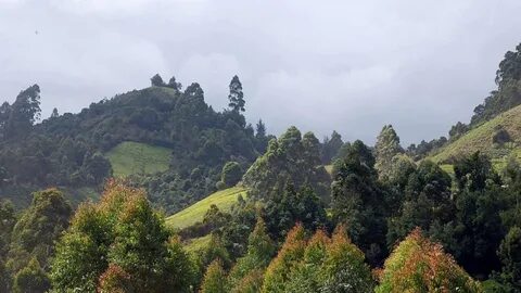 Murang'a