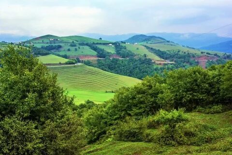 Lenkeran