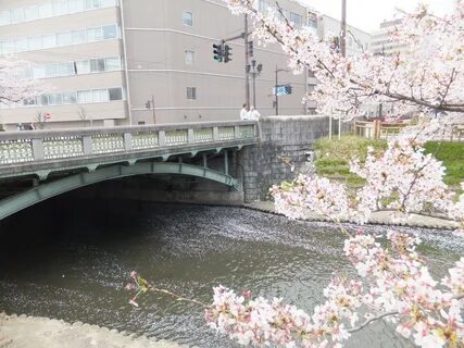 Toyama İli