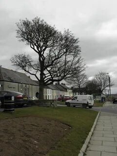 Dungannon ve Güney Tyrone İlçe Konseyi
