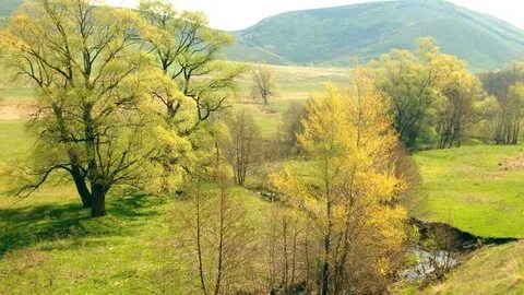 Orenburg Oblastı