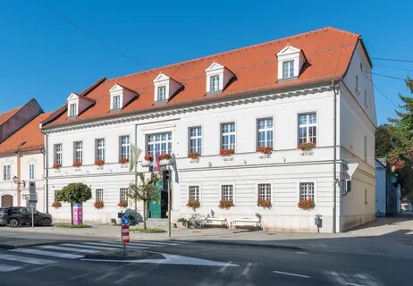 Slovenska Bistrica Belediyesi