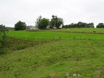 Dungannon ve Güney Tyrone İlçe Konseyi