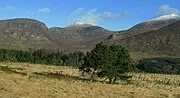 Newry, Mourne ve Aşağı
