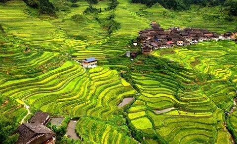 Guangxi Zhuang