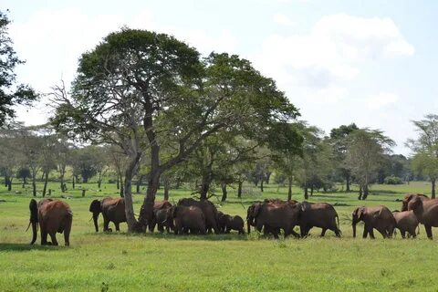 Taita – Taveta