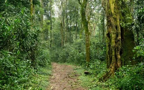 Kakamega