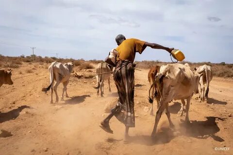 Somali Bölgesi