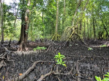 Kosrae Eyaleti