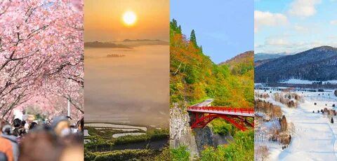 Niigata İli