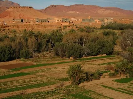Drâa-Tafilalet