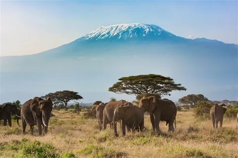 Makueni