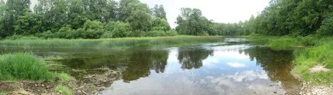 Plungė Bölge Belediyesi
