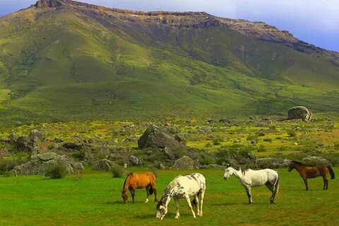 La Pampa