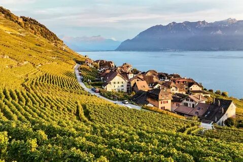 Vaud